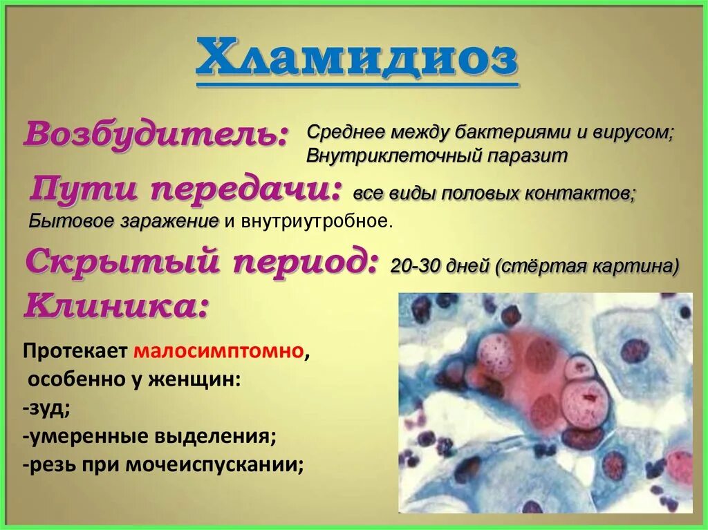 Цена хламидиоза. Хламидиоз возбудитель заболевания. Хламидиоз пути заражения и передачи. Хламидии пути заражения. Хламидия пути передачи инфекции.