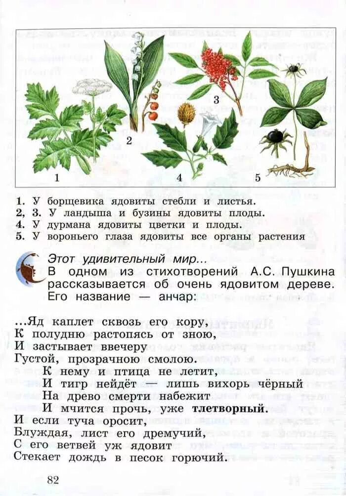 Четвертый класс учебник виноградова. Учебные пособия по окружающему миру 4 класс. Окружающий мир Виноградова учебник. Окружающий мир учебник Виноградова 1 часть. 2 Класс. Окружающий мир. Виноградова 1 часть..