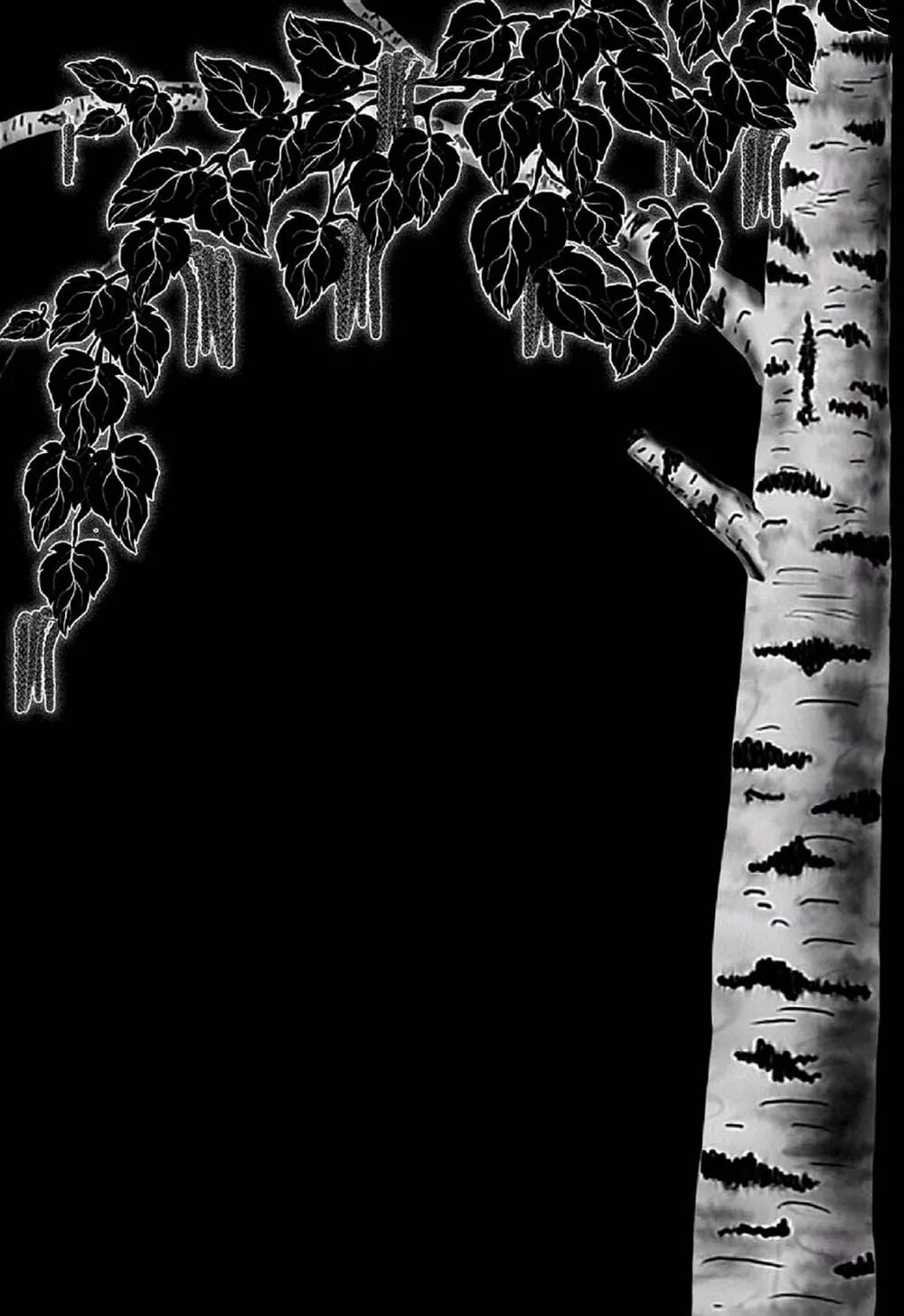 березка для гравировки в хорошем качестве. роща чёрных берёз в беларуси. березы на черном фоне. береза для гравировки на памятнике. береза для гравировки.