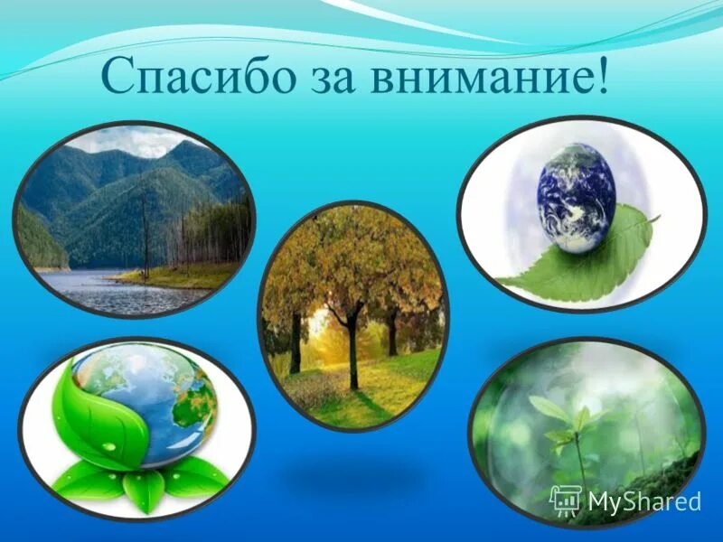 Окружающее элемент