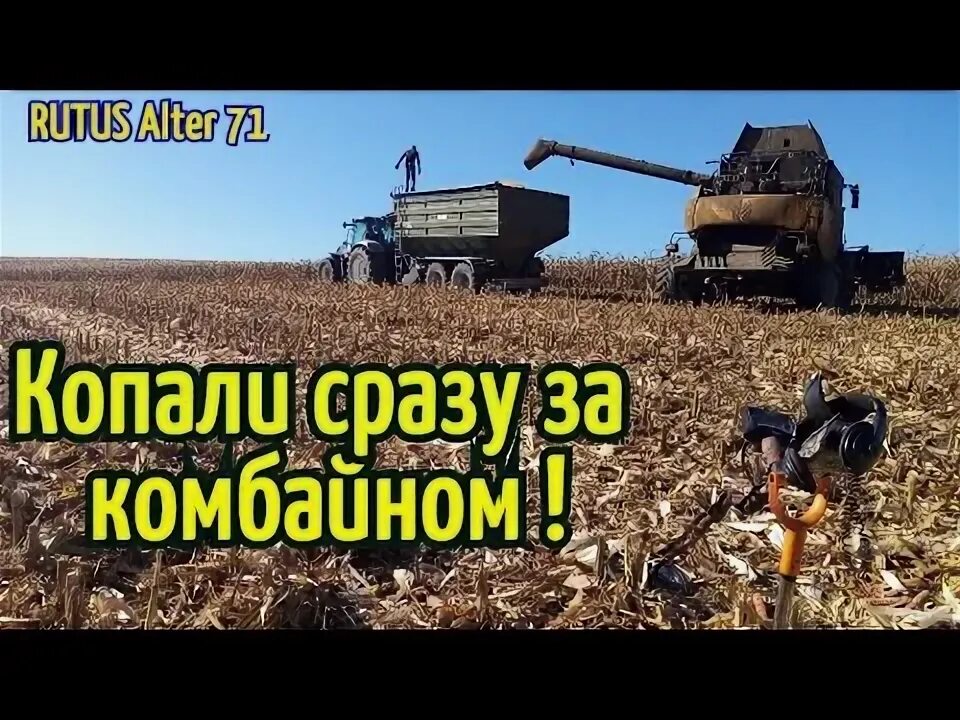 Рутус альтер. Рутус альтер 71.