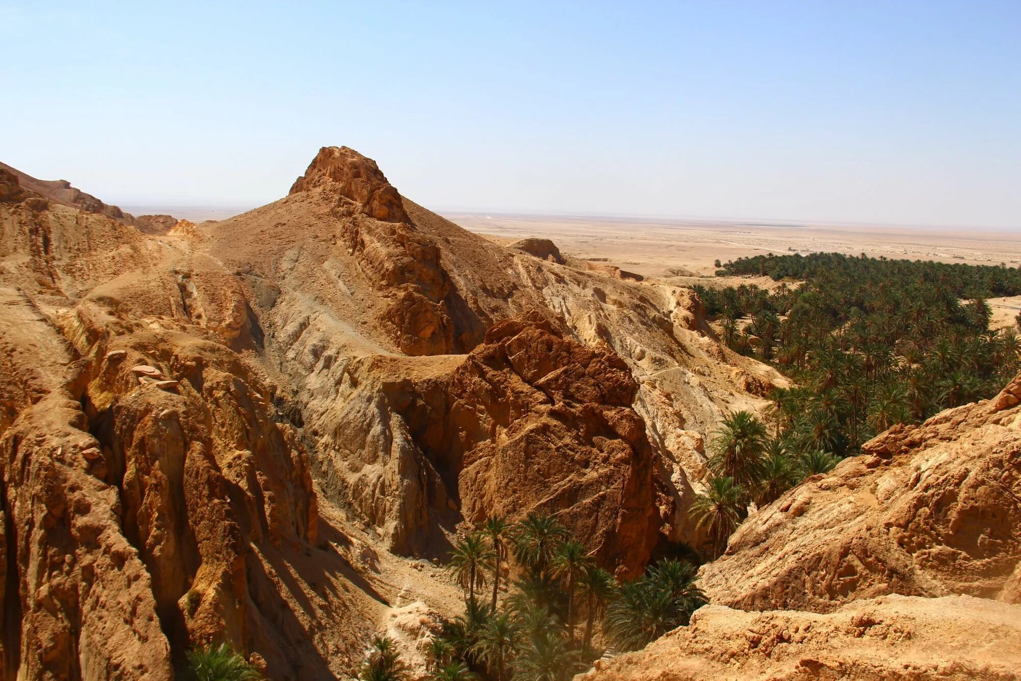 Атласские горы тунис пустыня. Атласские горы тунис пустыня. Рельеф туниса. Атласские горы тунис. Оазис в тунисе.