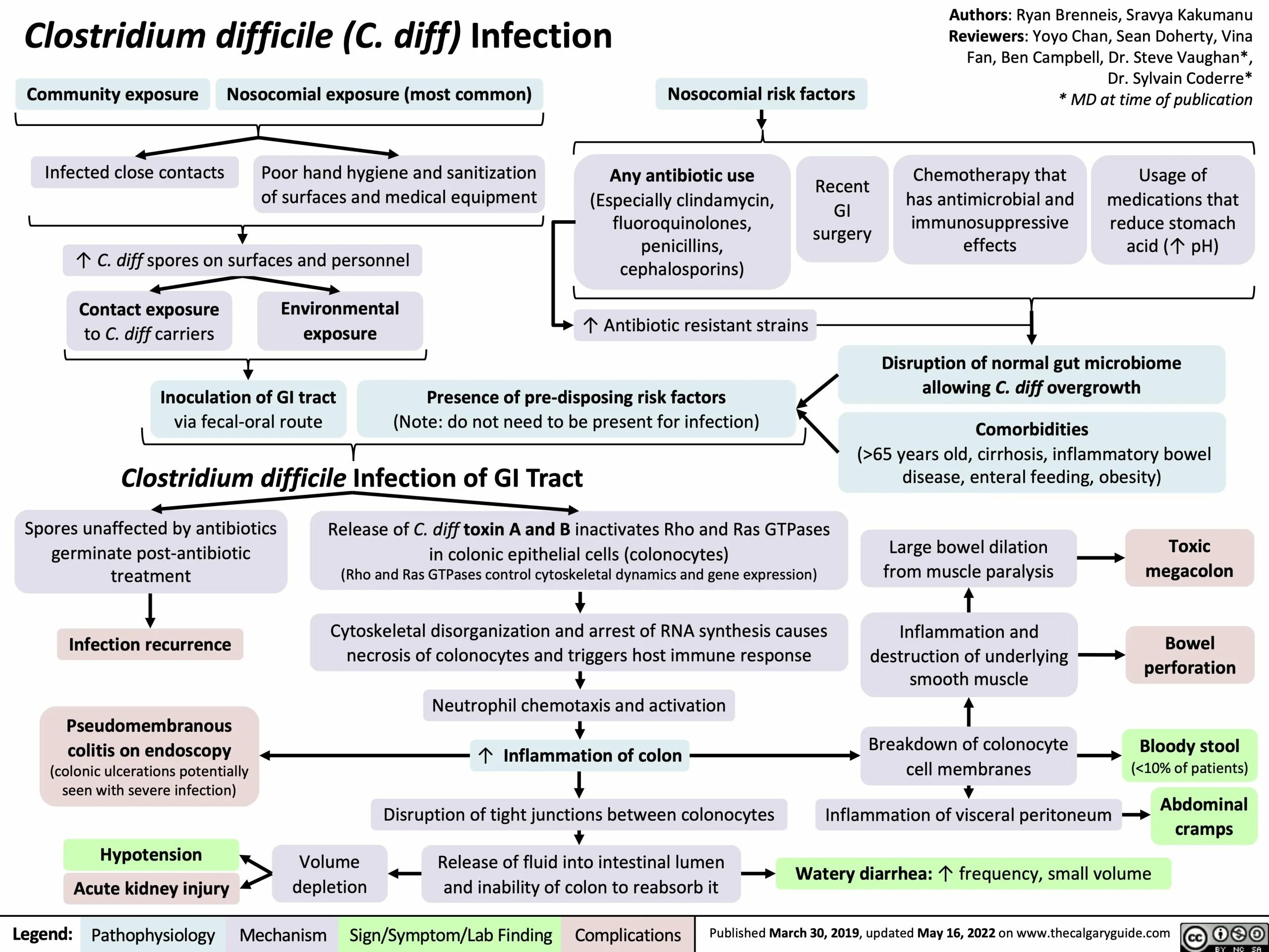 Clostridium difficile что это. Клостридиум диффициле. Clostridium difficile чувствительность к антибиотикам.