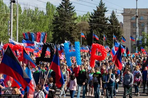 Днр донецк донбасс