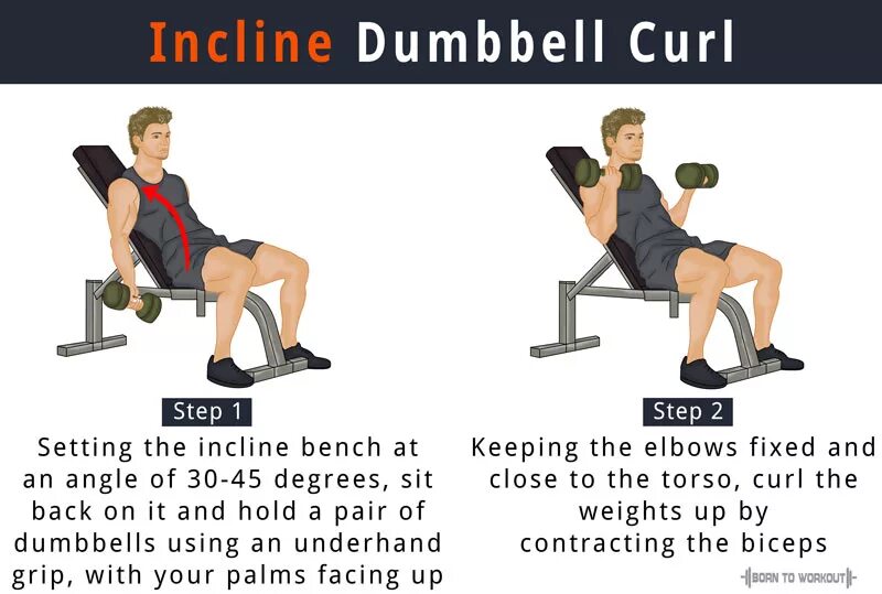 Seated Incline Curls. Incline Bench Dumbbell Curl. Incline Dumbbell Bench. Incline Bicep Curl.