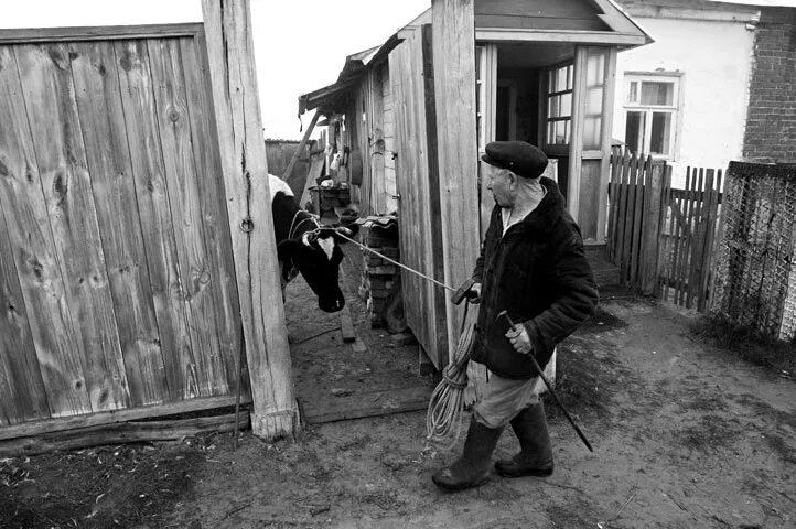 Видео рассказ в деревне. Деревенская история 1981. Видео рассказ в деревне. Видео рассказ в деревне. Маленькая деревенская девочка.