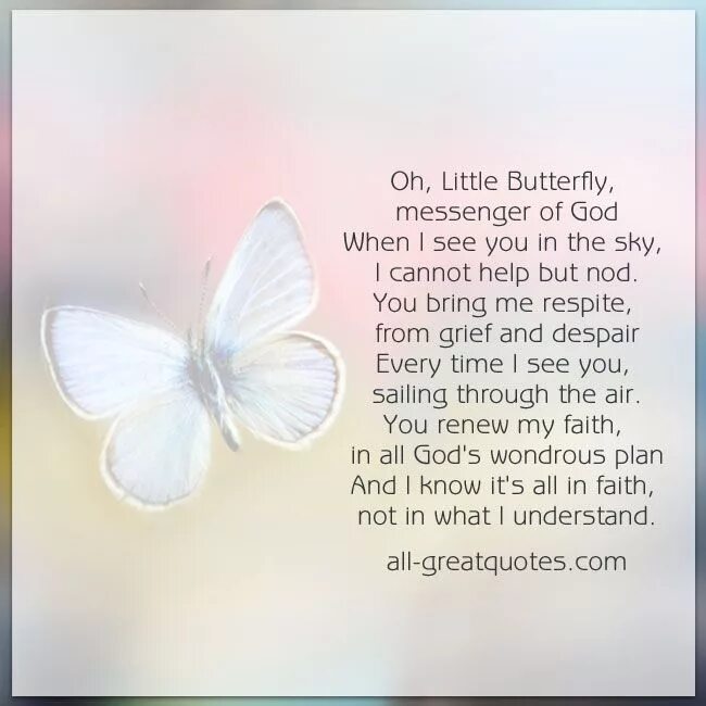 I am a little butterfly. Стихотворение butterfly. butterfly butterfly стих. стих про бабочку на английском. стих мотылек и девочка.