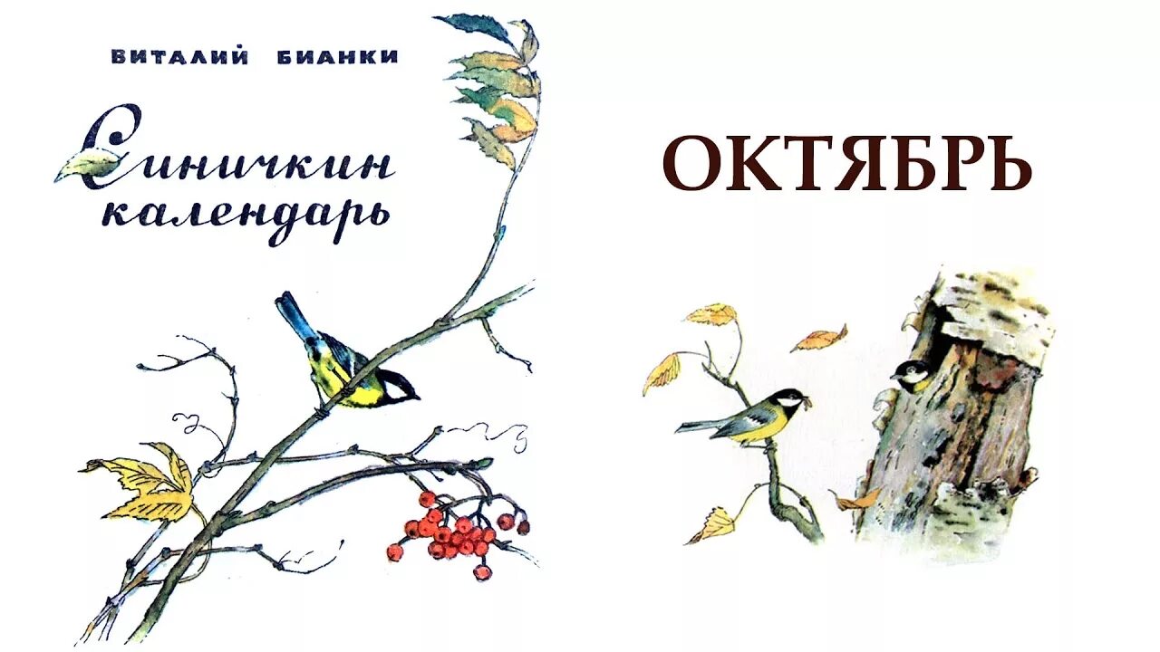 Рассказ синичкин календарь бианки. Сказка Синичкин календарь Бианки. Рассказы Виталия Бианки Синичкин календарь.