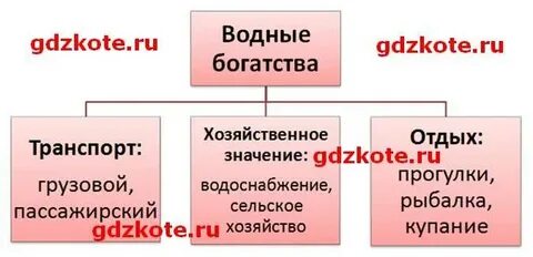 Схема водных богатств в жизни человека 4