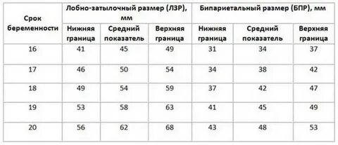Лобно затылочный размер головки