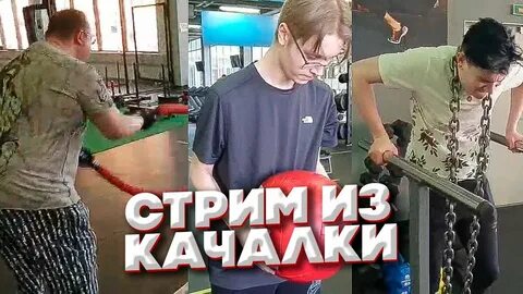 Батя дрейка