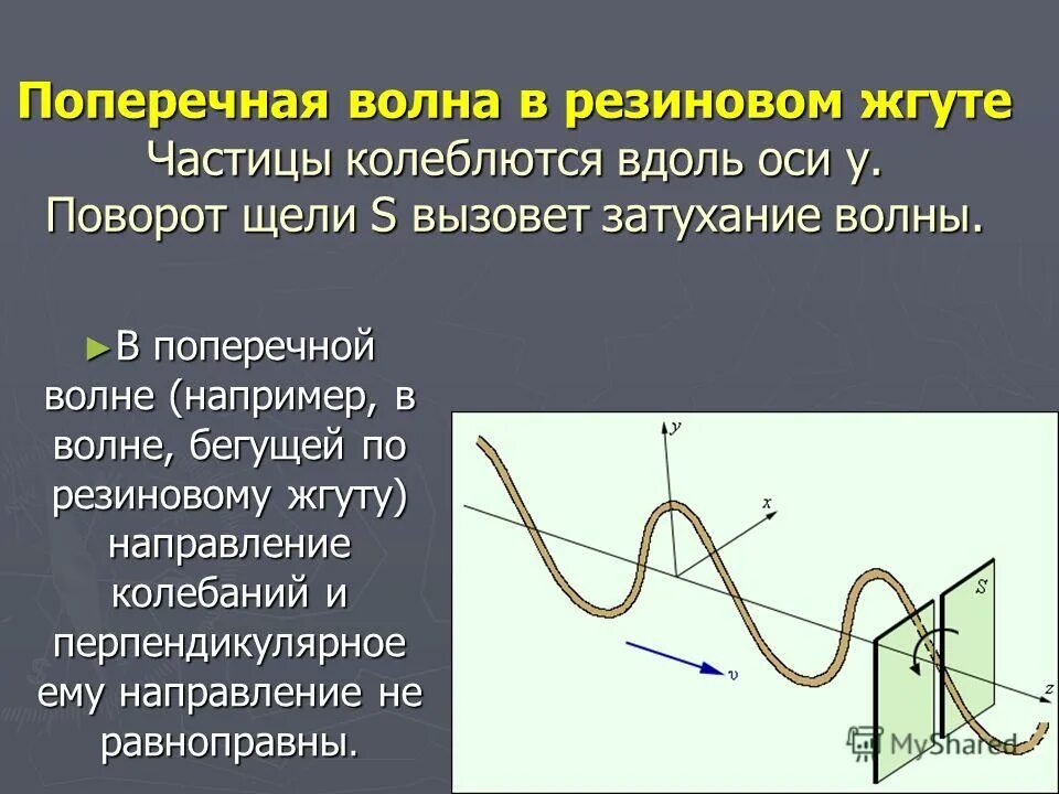 поперечные волны направление колебаний. пролольные и поперечный волны. продольные и поперечные волны. поперечные волны направление колебаний. поперечная волна и продольная волна.