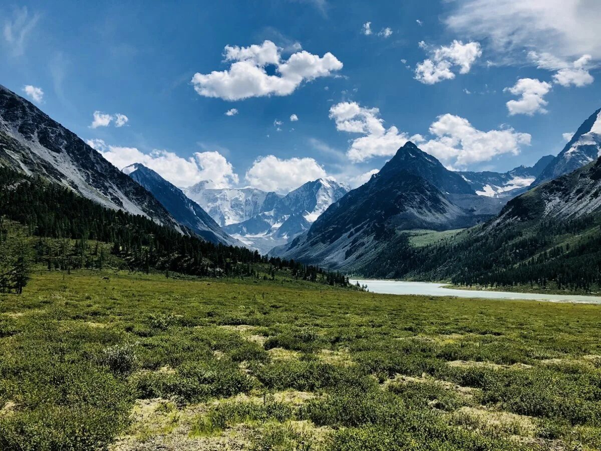 Горы горного Алтая. Гора Белуха горный Алтай фото. Куйгукские озера. Семинский перевал горный Алтай. Путешествия природа россии