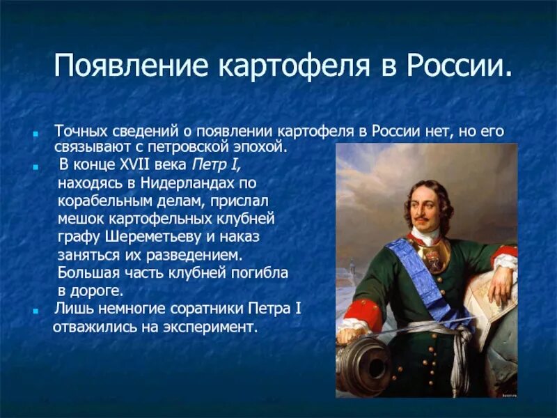 Когда завезли картофель в россию. История картофеля в России. Появление картофеля в России. Картошка история появления в России.