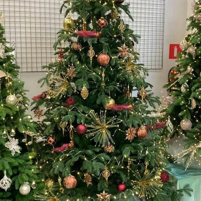 Мичуринск филиппова 68. Тибет мичуринск. Торговый дом айсберг мичуринск. Магазин дубрава мичуринск. Тибет мичуринск.