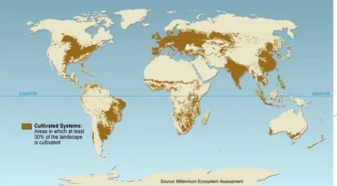 Area in world