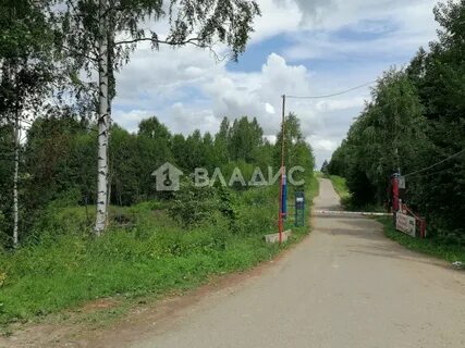 Снт шелухово нижегородская область