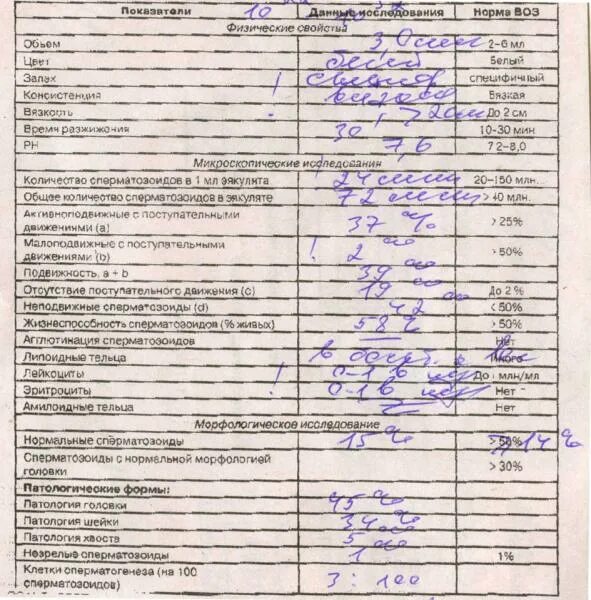 Спермограмма. Норма спермограммы для эко. Спермограмма анализ. Показатели спермограммы нормы для эко. Анализы урология мужчины