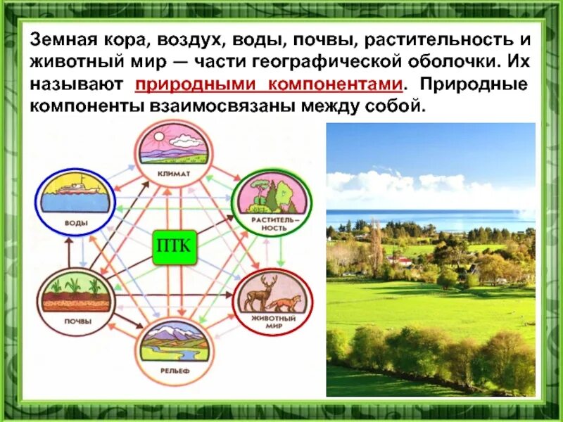 Перечислите природно территориальные компоненты. Природные компоненты ландшафта. Природные компоненты географической оболочки. Основные природные компоненты в ландшафте. Взаимосвязь компонентов природы.