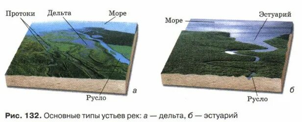 Устье и дельта. Дельта и эстуарий схема. Типы дельт рек. Типы устьев Дельта эстуарий. Дельта реки схема.