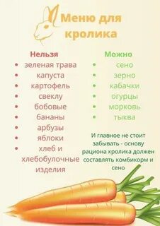 Овощи кролику какие овощи