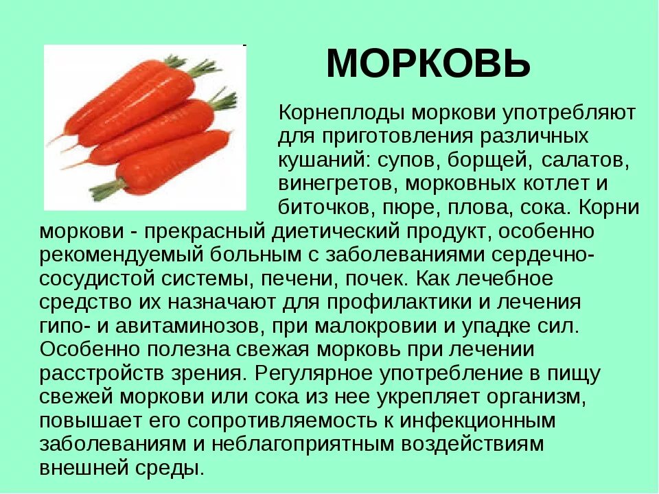 Есть морковь на ночь. Описание морковки. Доклад о морковке. Информация про морковь. Рассказать про морковь.