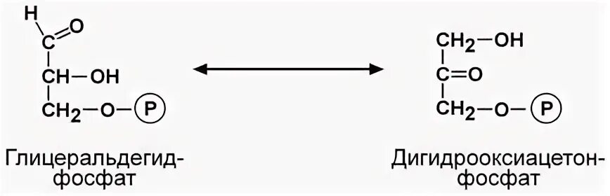 3 фосфат. Глицеральдегид 3 фосфат формула. глицеральдегид 3 фосфат в дигидроксиацетонфосфат. реакция глицеральдегид 3 фосфат дигидроксиацетонфосфат. глицеральденил 3фосфат.