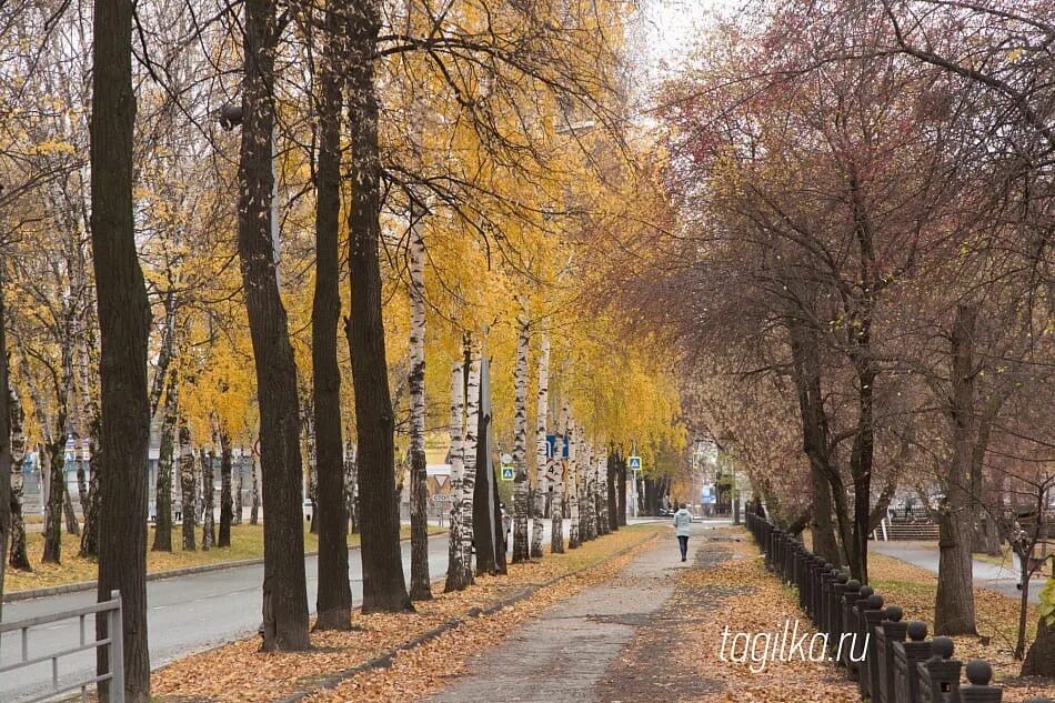 Нижний тагил осенью. Бондина нижнего тагила осенью. Тагил осенью. Нижний тагил осенью. Дождь в нижнем тагиле.