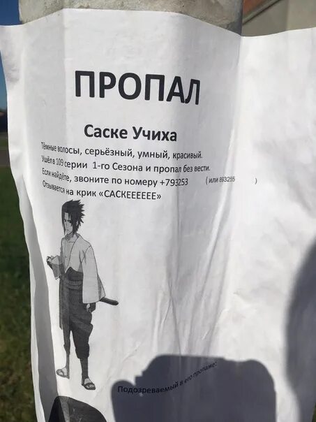 Снова потерялся. Кот вася мем. Опять пропала мемас. Снова потерялся. Скаттл опять пропаду.