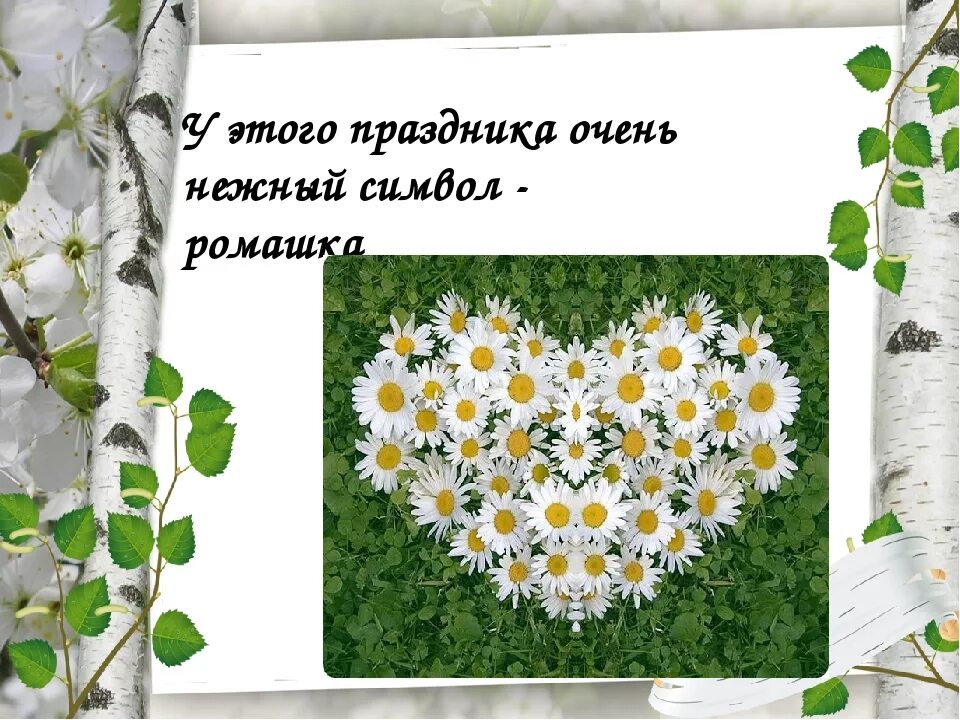 Какой цветок является символом всероссийского дня семьи. Ромашка символ праздника 8 июля. Ромашка символ семьи. Ромашка символ семьи любви и верности. Ромашка день семьи.
