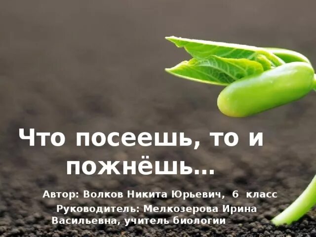 Что посеешь то и пожнешь сказка. Что посеешь то и пожнешь сказка