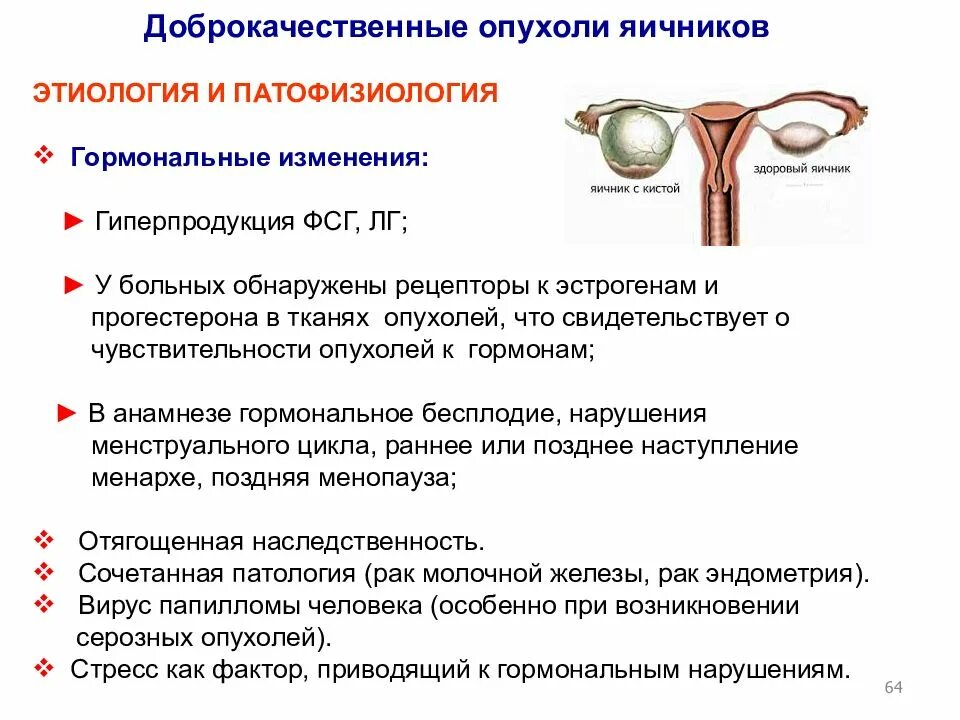 Какие изменения происходят в яичнике