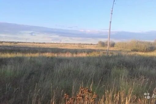 Поле 10 гектар. Гектар за 100. Участок гектар. Участок за 100 тысяч. 1 гектар поля.