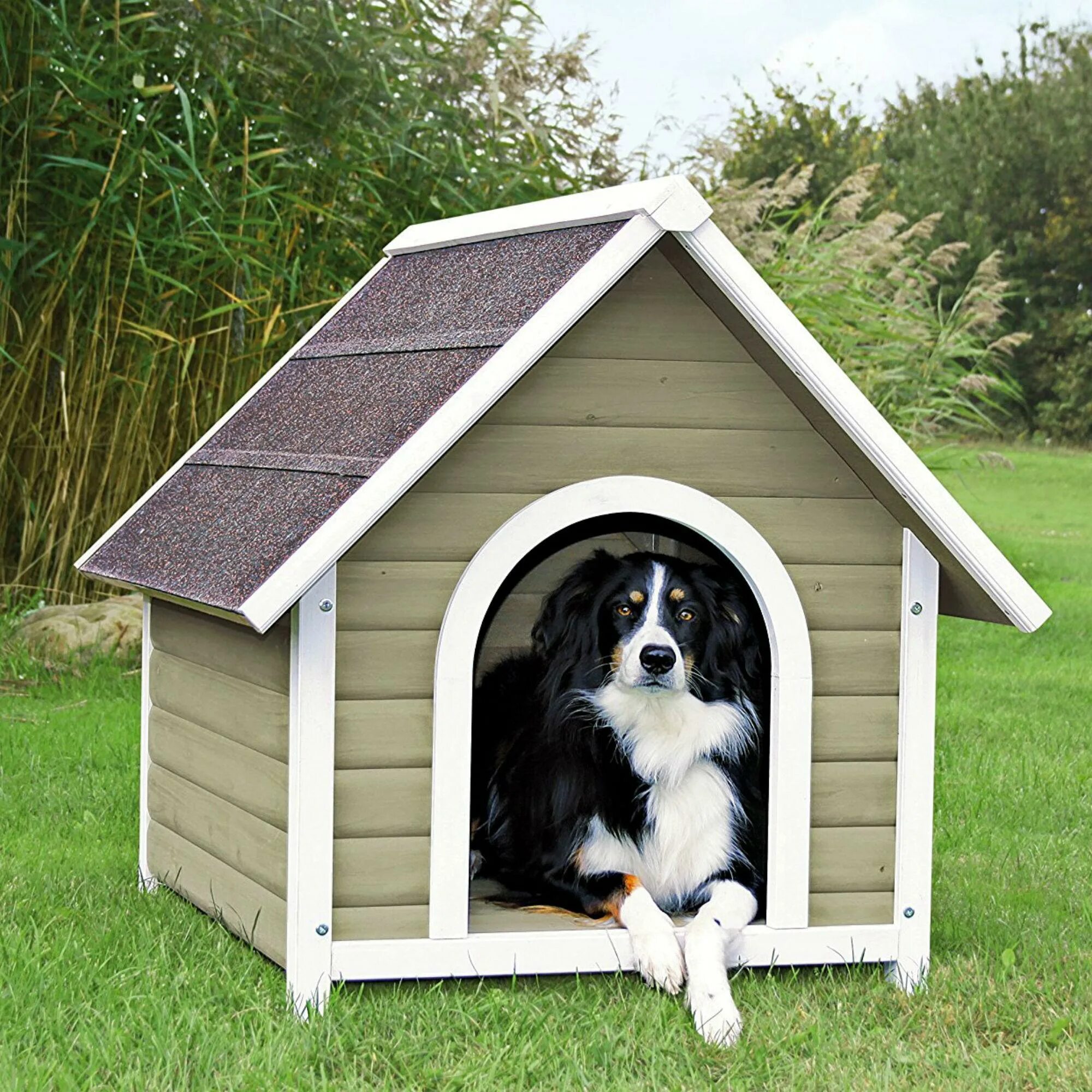 Dog house casino dog houses info. Конура собак Dog House. . Будка Терри 1700. Конура для 2 собак. Собачья конура будка.