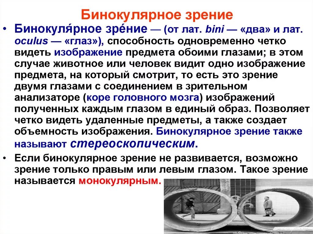 С точки зрения наличия в. Исследование бинокулярного зрения. Способы выявления бинокулярного зрения. Формирование бинокулярного зрения. Способы исследования бинокулярного зрения.