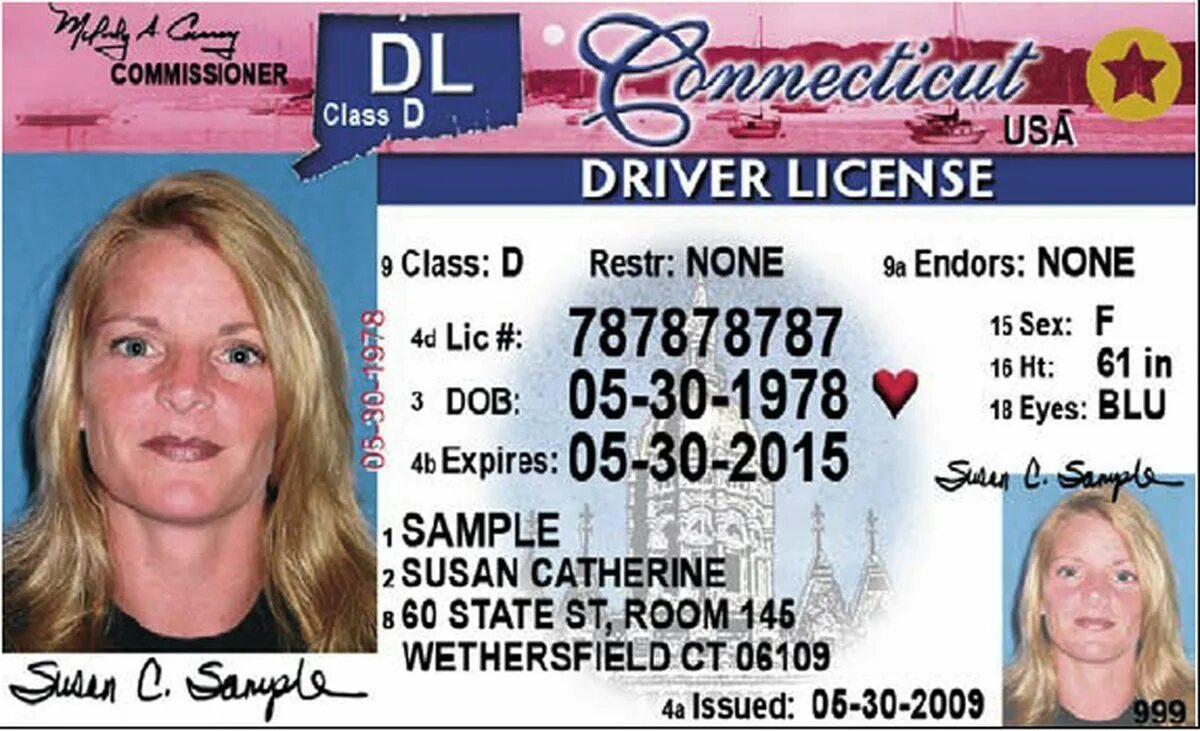 License to start. Connecticut driver license. driver license ct. connecticut usa driver license back.