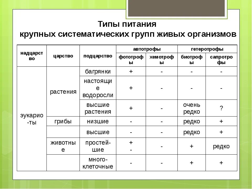 Типы питания биология 8 класс. Типы питания живых организмов таблица. Типы питания живых организмов таблица 6 класс биология. Биология Тип питания живых организмов таблица. Классификация организмов по типу питания схема.