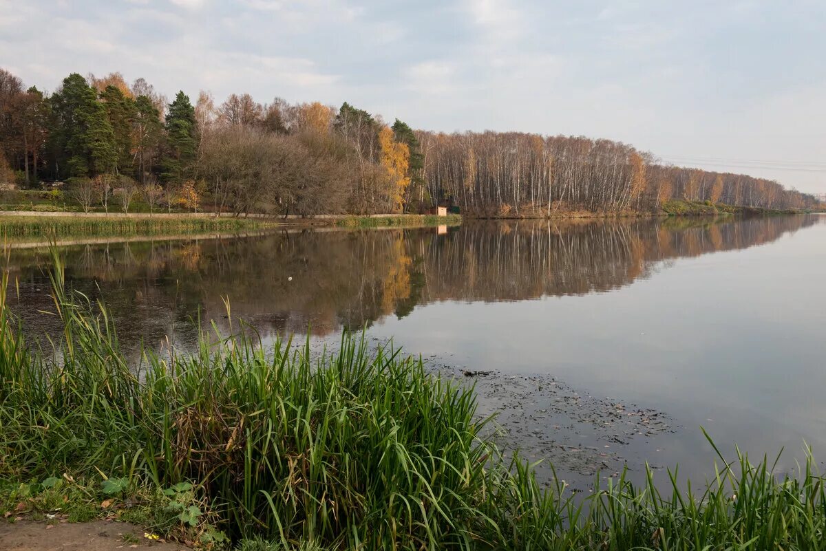 булатниковский пруд пляж. булатниковский пруд видное. булатниковский пруд видное. булатниково пруд. булатниковский пруд видное.