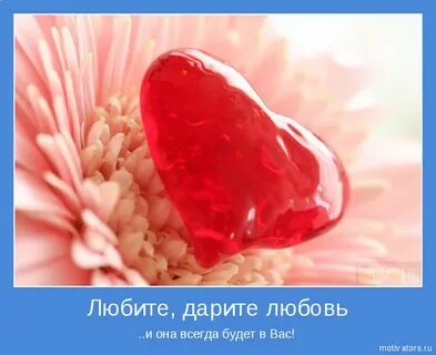 Любовь подари дай