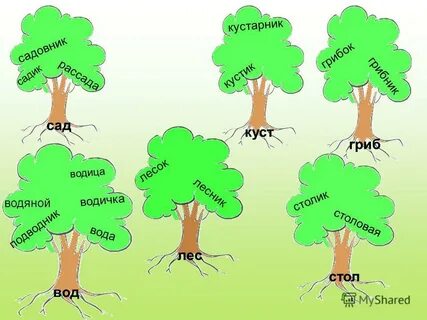 Тут осинки и кусты у куста стоит