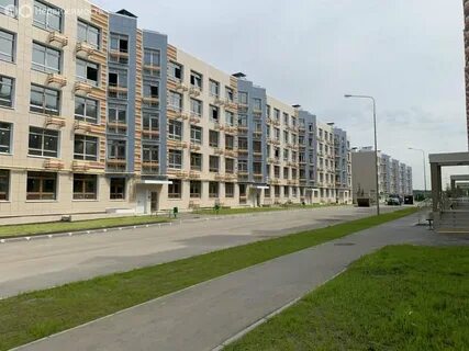 Новогорск парк