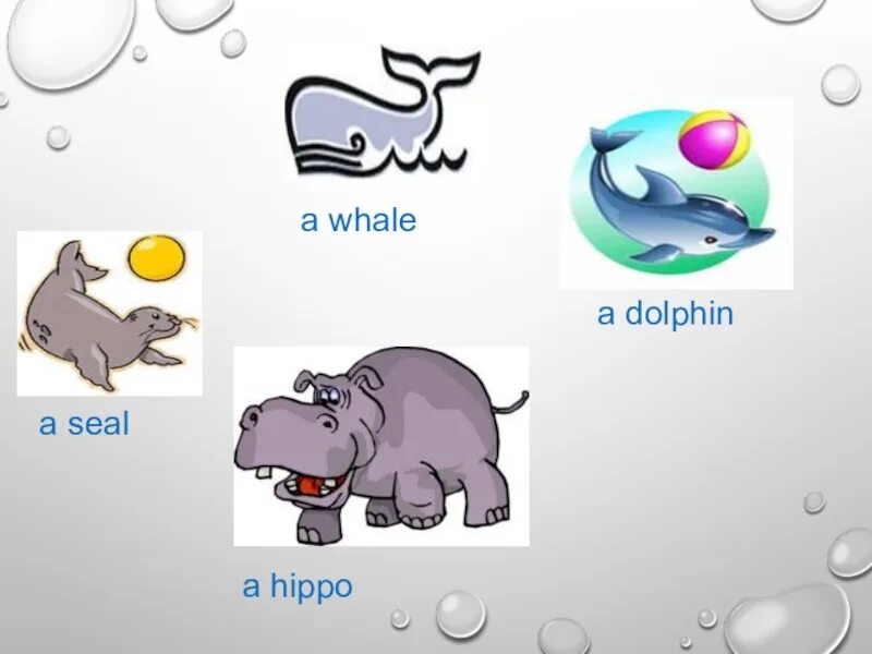 Hippo перевод и транскрипция. Животные спотлайт 2 класс. hippo на английском языке. funny animals spotlight 4 презентация. спотлайт 4 класс животные.