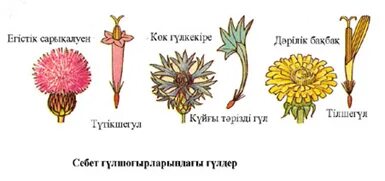 Меган Фоксты порно фильмнен қараңыз