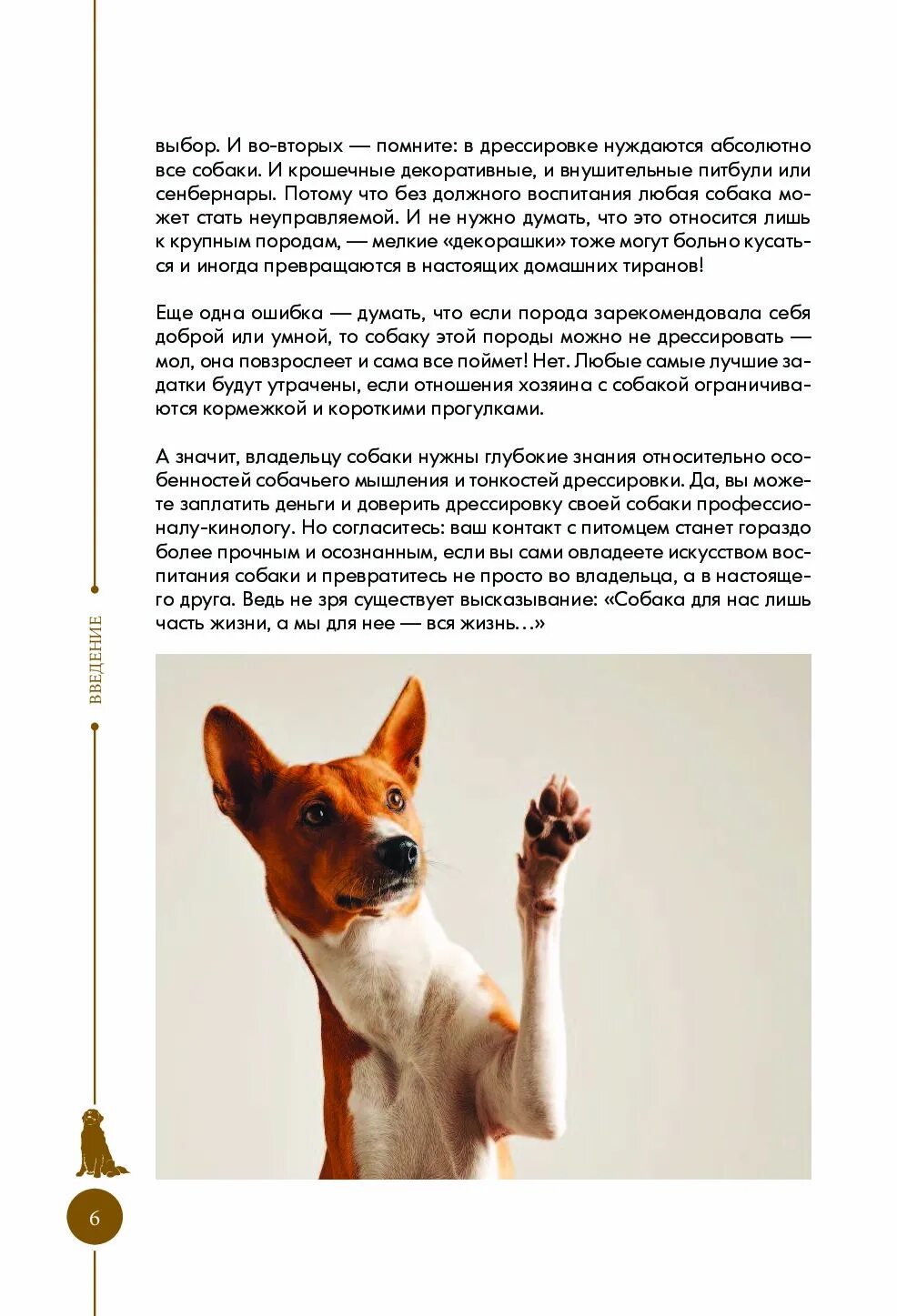 Дрессировка собак самостоятельно с чего начать. Команды для собак жестами. Базовые команды для собак. Команды для тренировки собак. Дрессировки команды для дрессировки собак.