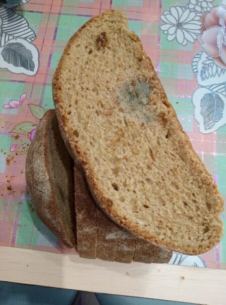 Кто продает хлеб. Пекарь хлебобулочных изделий. Хлеб некондиция для животных. Эмиль бонтэ рязань. Упаковщица хлебобулочных изделий.