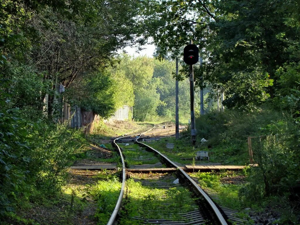 однопутный участок железной дороги. д. поезда в хорватии фото. недалеко от железной дороги. пейзаж с железной дорогой.