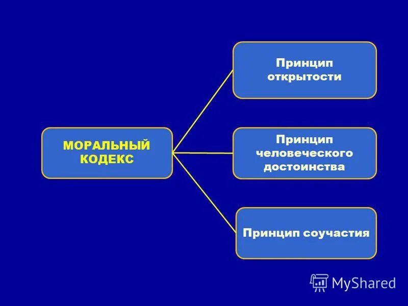 Принцип человеческой жизни