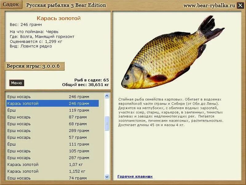 Русская рыбалка 3 красивая меча карась золотой. Русская рыбалка 3 Bear Edition красноперка. Русская рыбалка 3 красивая меча. Русская рыбалка 3.6. Русская рыбалка 376