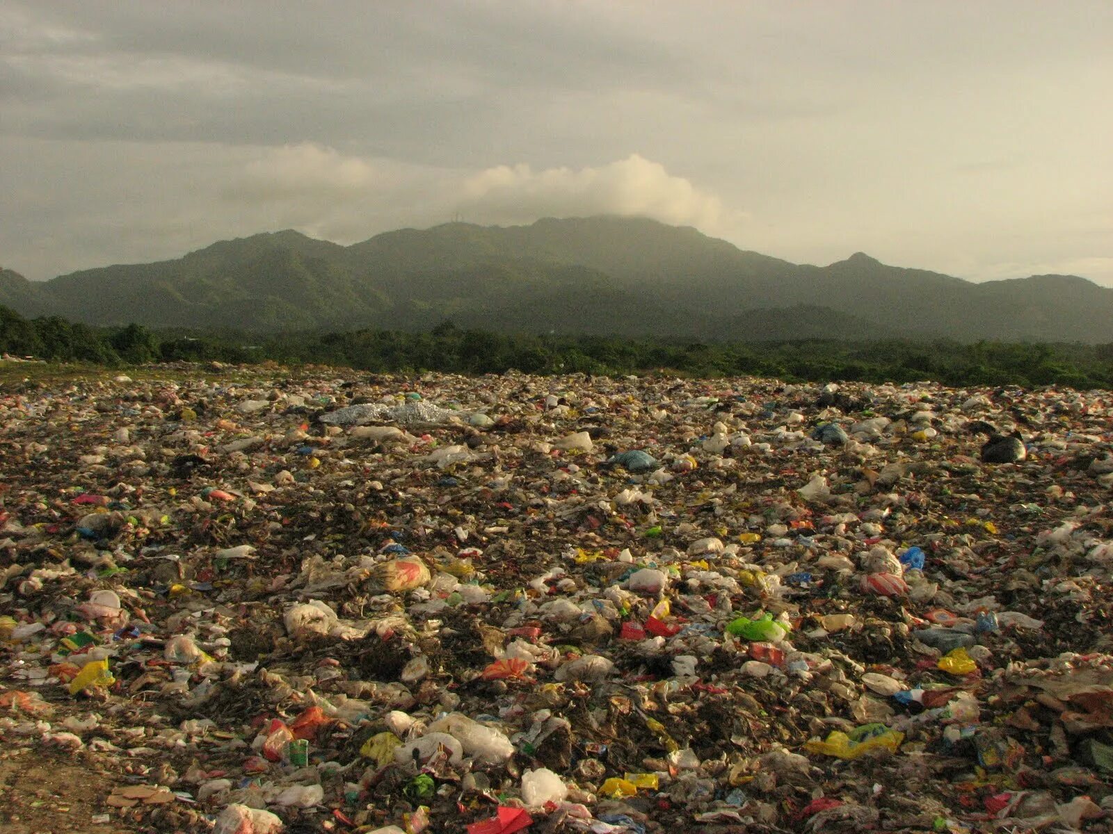 Looking after the environment