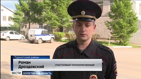 Поиски 9
